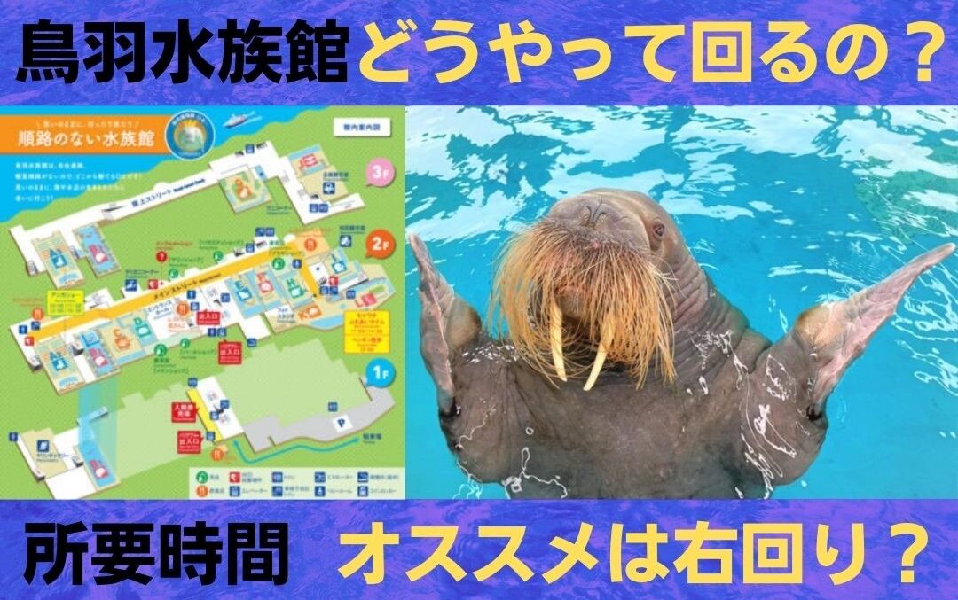 鳥羽水族館どれくらいで回れる 所要時間や子連れオススメの回り方は Trenddisneyfreedom