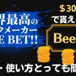 BeeBet(ビーベット)RIZIN36の賭け方は？登録や使い方は安心でとっても簡単？