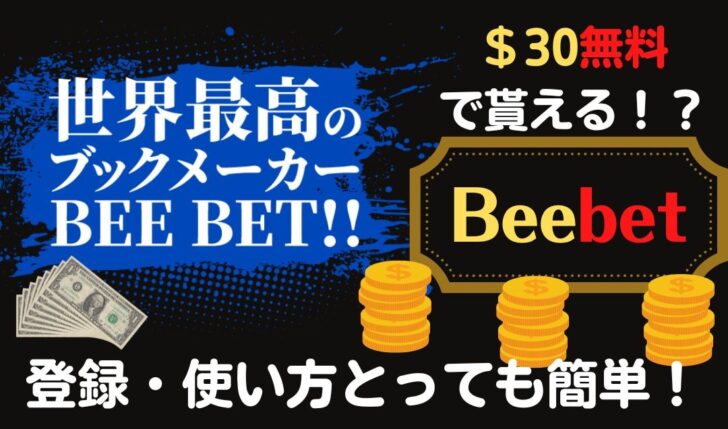 BeeBet(ビーベット)RIZIN36の賭け方は？登録や使い方は安心でとっても簡単？