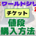 RISEワールドシリーズ2022チケット値段は？購入方法や転売リセール情報まとめ！