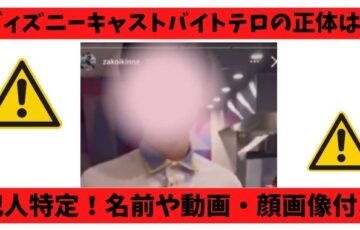 ディズニーキャストバイトテロ正体は誰？名前や顏画像に動画がエグい！
