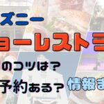 ディズニーショーレストラン予約のコツは？当日でも入れる方法は？