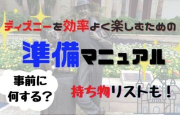 ディズニー効率よく回るための準備！あると便利な持ち物とは？