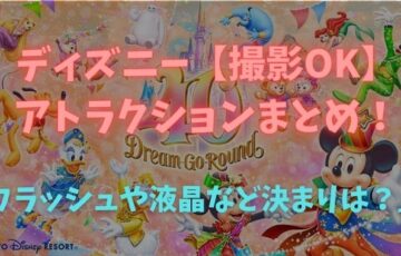 ディズニー【撮影OK】アトラクション！フラッシュや液晶など決まりは？